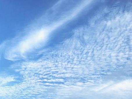 うろこ雲 うろこ雲の写真