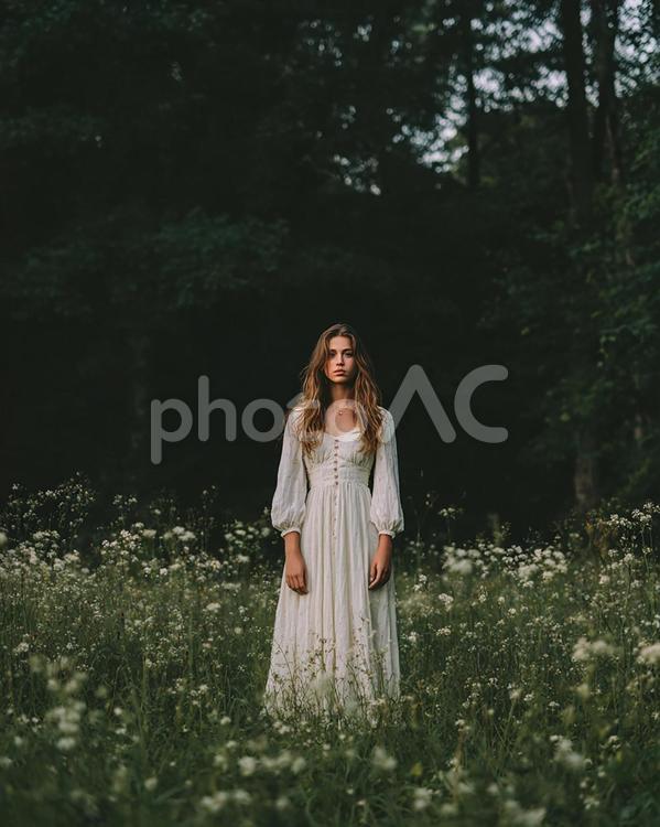 白いドレスが映える幻想的な風景 女性,森,林の写真素材