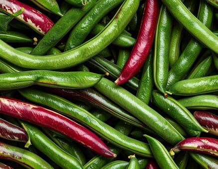 緑赤のインゲン豆密集 緑赤のインゲン豆密集の写真