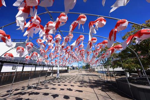 金魚ちょうちん祭り 金魚ちょうちん祭り 金魚ちょうちん祭り,柳井金魚ちょうちん祭り,金魚ちょうちんの写真素材