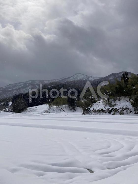 冬の雪が積もった山と田んぼ 冬,雪,田んぼの写真素材