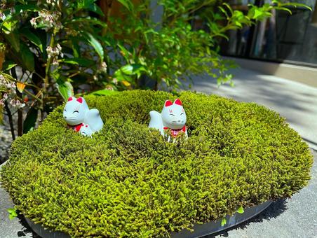 竹駒稲荷のきつね 竹駒稲荷のきつね きつね,竹駒稲荷,夏詣の写真素材