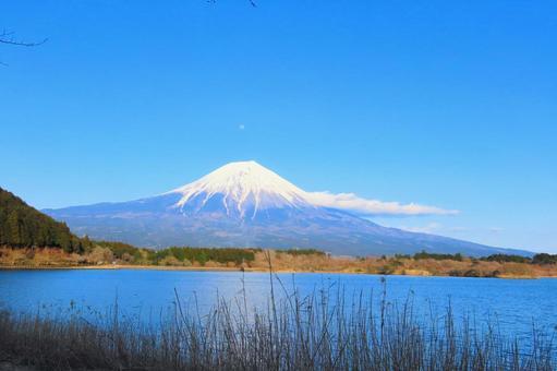 世界に誇る美しい富士山 世界に誇る美しい富士山 田貫湖,富士山,夜明けの写真素材