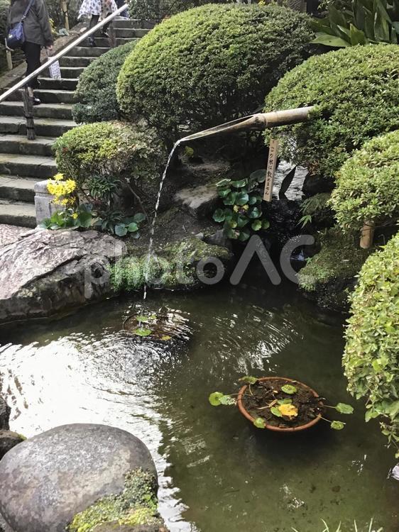 鎌倉・報国寺の日本庭園 報国寺,鎌倉,寺院の写真素材