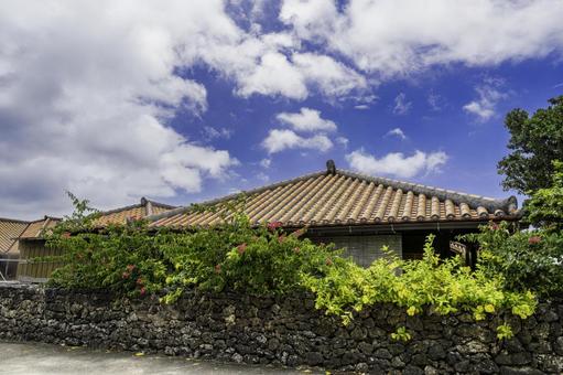 沖縄-【竹富島－竹富島の風景】 海,青,青空の写真素材