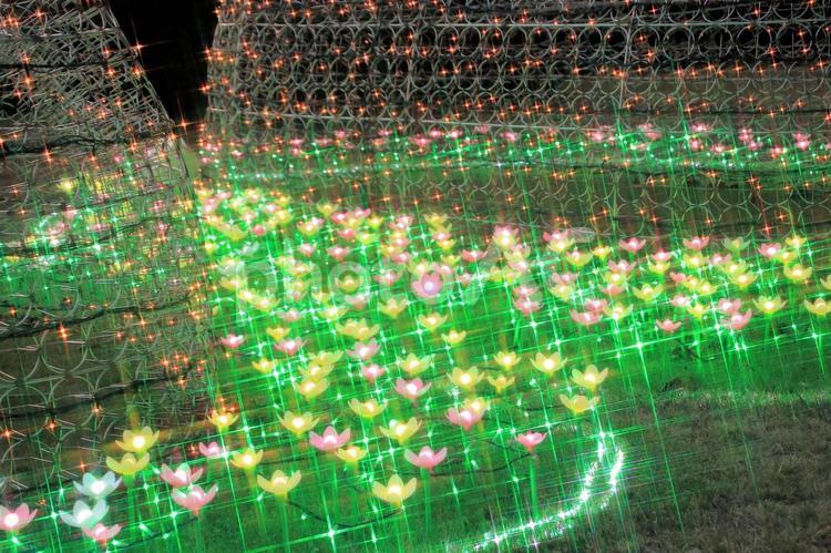 冬のイルミネーション　2024　10 クリスマス,イルミネーション,ライトアップの写真素材
