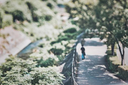 歩行者と自然風景 歩行者と自然風景の写真