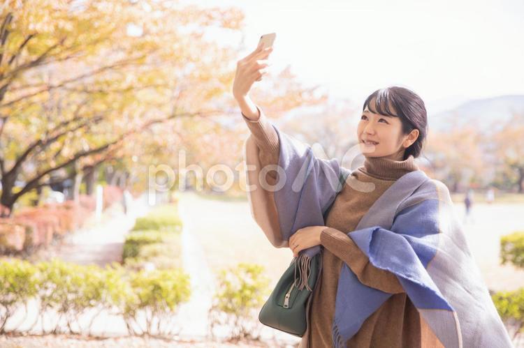 秋の公園でスマホを持って撮影する女性（自撮り） 旅行,スマホ,撮影の写真素材