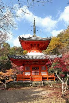 三滝寺紅葉 広島市,三滝寺,多宝塔の写真素材