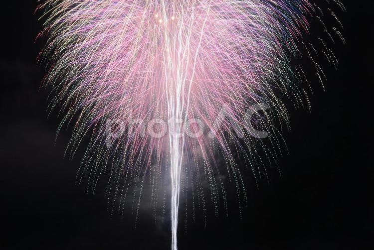 2023長岡まつり大花火大会 花火,風景,長岡の写真素材
