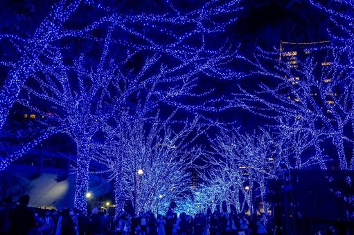 青の洞窟 青の洞窟 青の洞窟,イルミネーション,イベントの写真素材