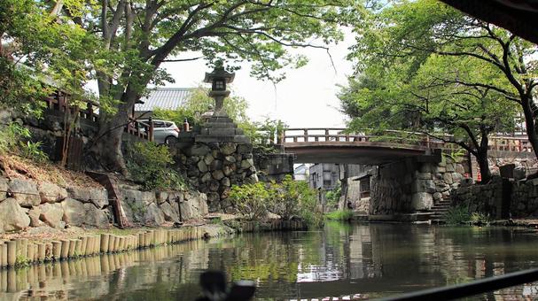 手漕ぎ和舟で初秋の八幡堀巡り 手漕ぎ和舟で初秋の八幡堀巡り 八幡堀,初秋,和舟の写真素材