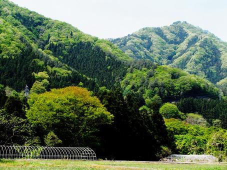 初夏の風景 初夏の風景の写真
