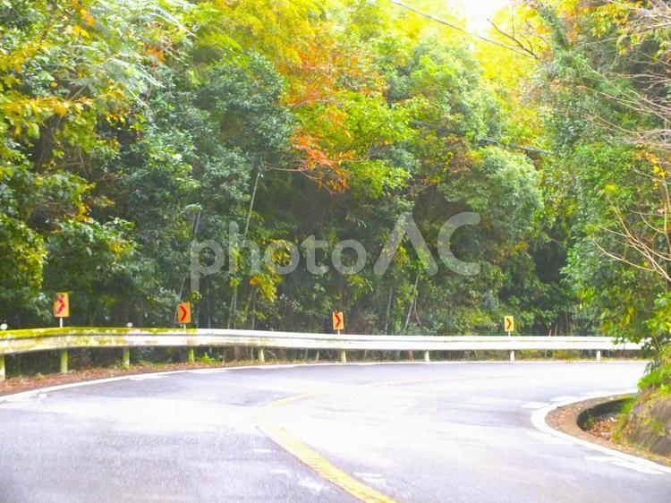 日本平へのカーブの路は紅葉の季節 紅葉,木,カーブの写真素材