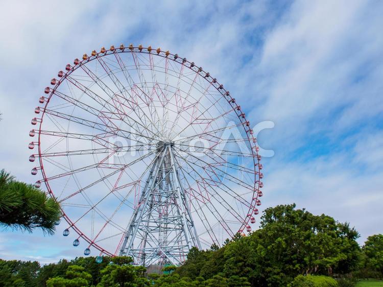 観覧車　葛西臨海公園　コピースペース　風景 観覧車,葛西臨海公園,青空の写真素材