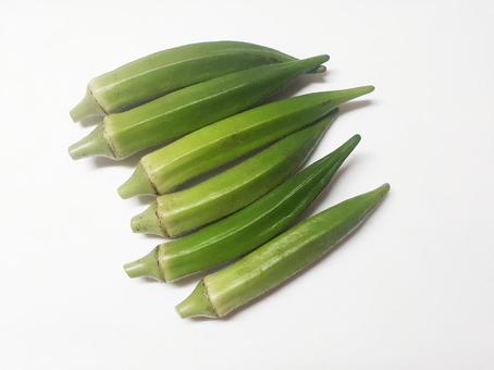 オクラ　コピースペースあり オクラ,おくら,野菜の写真素材