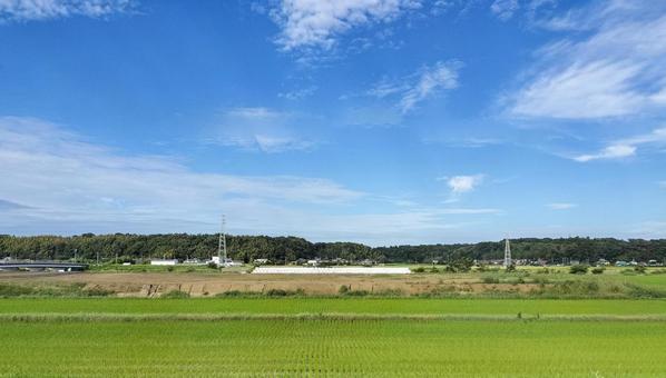 京成線車窓より 九月の佐倉市角来の田園 京成線車窓より 九月の佐倉市角来の田園の写真