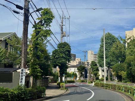 住宅街の道 住宅街の道 住宅街,家,道の写真素材