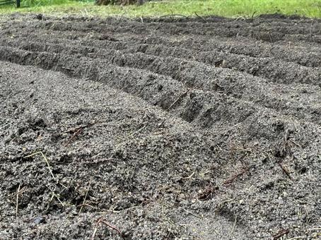 耕された土の畝 園芸,花壇,畝の写真素材
