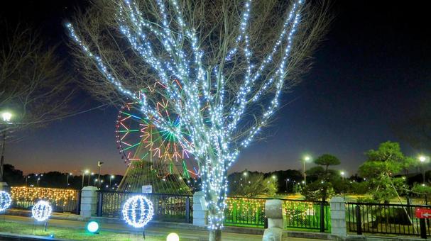 葛西臨海公園のイルミネーション・江戸川区 冬,イルミネーション,観覧車の写真素材