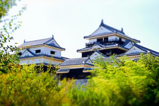 松山城 天守,松山城,松山観光の写真素材