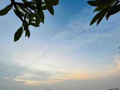 朝焼けの空 朝焼けの空の写真