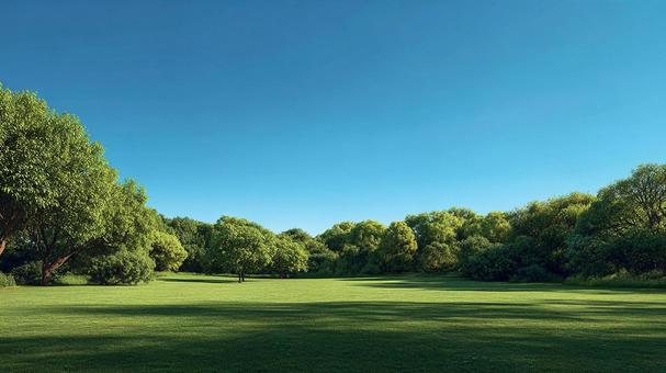 清々しい風が吹き抜ける広々とした芝生の写真