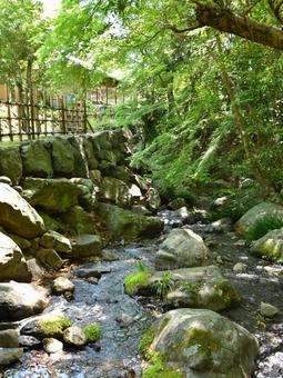 川 川,小川,自然の写真素材