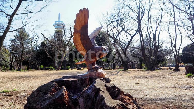 早春の航空公園・梟のオブジェ（所沢市） 早春,所沢航空記念公園,フクロウの写真素材
