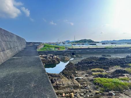 海岸 夏の海 海岸 夏の海 自然,海岸,海辺の写真素材