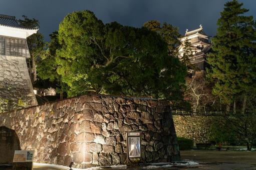 島根県の夜の松江城 島根県の夜の松江城 日本,島根,島根県の写真素材