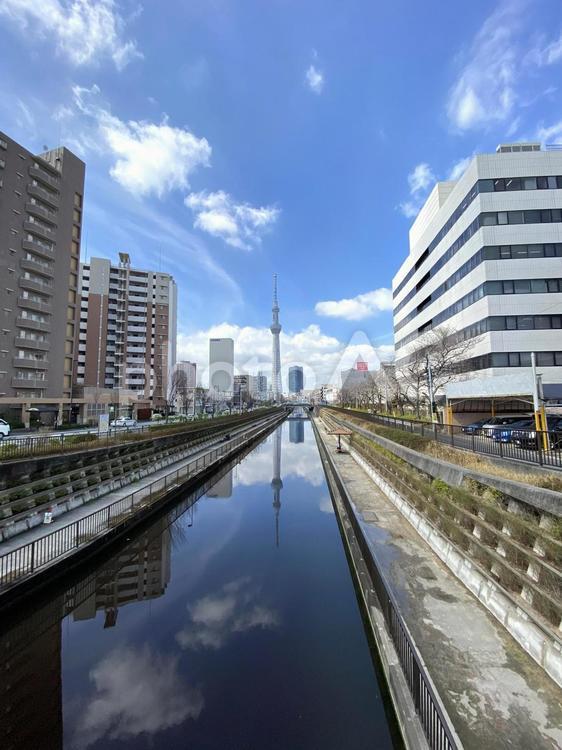 北十間川の水面に反射した東京スカイツリー 東京スカイツリー,北十間川,運河の写真素材