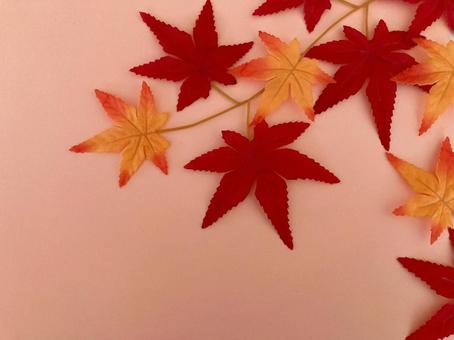 紅葉のフレーム 紅葉のフレームの写真