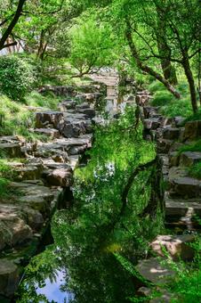 蘇州・留園 蘇州・留園 蘇州,留園,世界遺産の写真素材