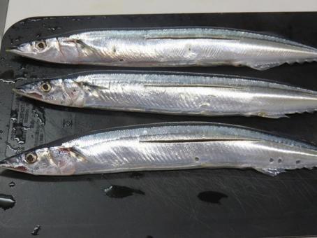 サンマ 秋刀魚,生魚,キッチンの写真素材