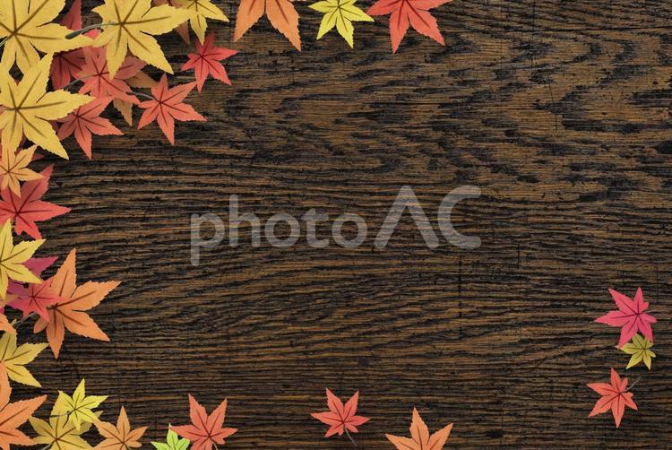 紅葉のアンティーク背景のイメージ２ 秋,背景,アンティークの写真素材
