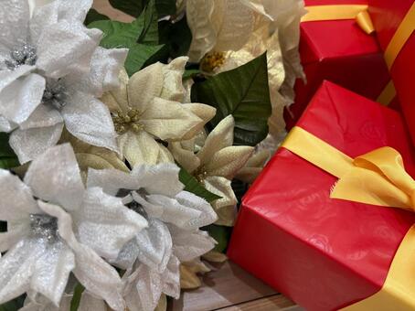 白と金のポインセチアと赤いギフトボックス ポインセチア,クリスマス,花の写真素材