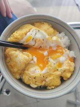 卵丼 202507 (2) 卵丼,たまご丼,卵の写真素材