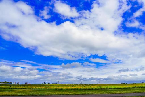 北海道の畑 北海道の畑の写真