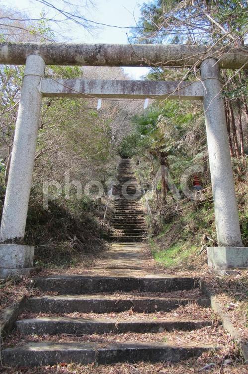山中の神社へ続く上りの石段 石段,階段,鳥居の写真素材