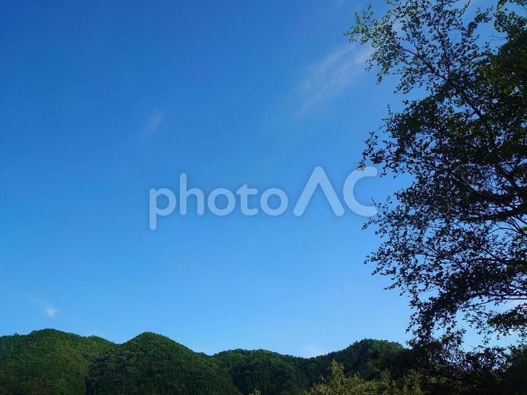 8月の美しい青空 8月,真夏,青空の写真素材