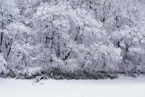 雪景色 雪景色の写真