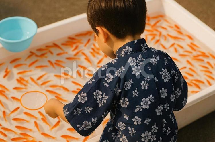 縁日・お祭りで金魚すくいを楽しむ子供 金魚すくい,縁日,お祭りの写真素材