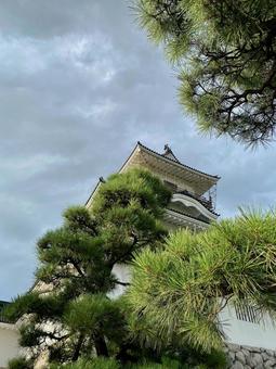 富山城 富山城 富山城,富山城址公園,お堀の写真素材