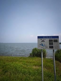 霞ヶ浦（西浦）の夏の風景 霞ヶ浦,西浦,湖の写真素材