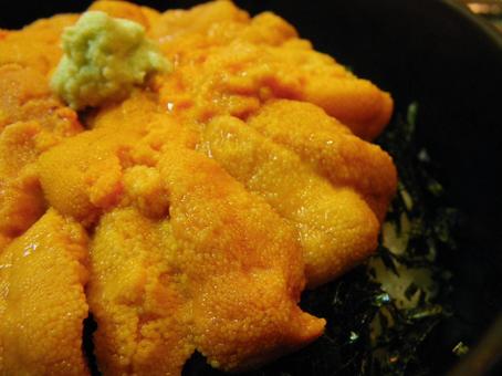 雲丹丼2 雲丹丼2 雲丹,ウニ,丼の写真素材