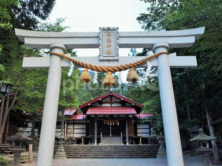 平湯神社の鳥居と建物、岐阜県 平湯,神社,平湯神社の写真素材