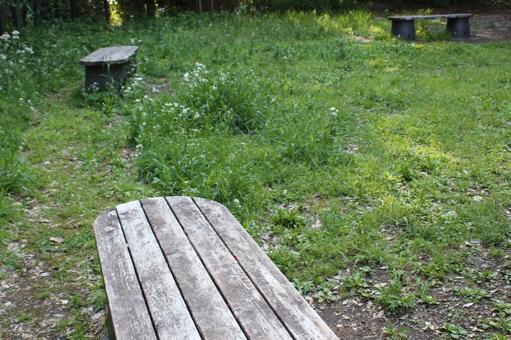 Photo, bench, park, chair, 