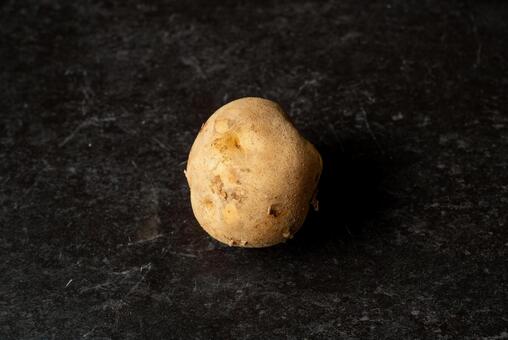 黒背景の1つのじゃがいも じゃがいも,ポテト,イモの写真素材