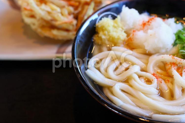 さぬきうどん店のおろし釜かけうどん 背景,釜かけ,さぬきうどんの写真素材